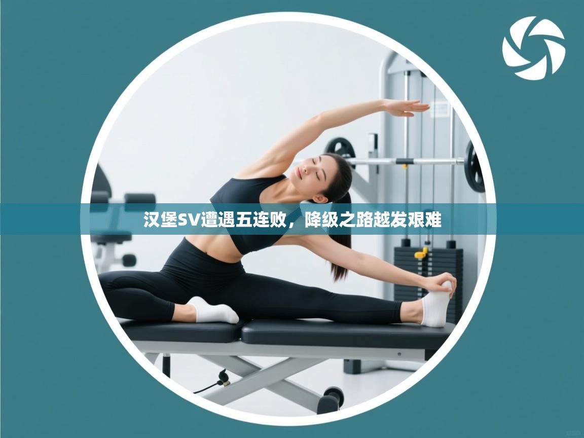 开云体育app网页版入口-汉堡SV遭遇五连败,降级之路越发艰难 第2张