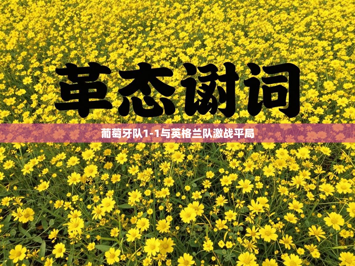 开云体育入口手机版-葡萄牙队1-1与英格兰队激战平局  第1张