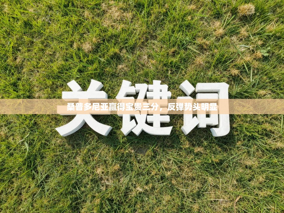 开云手机版-桑普多尼亚赢得宝贵三分，反弹势头明显